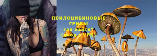 ешки Балахна
