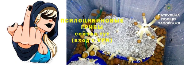 ешки Балахна