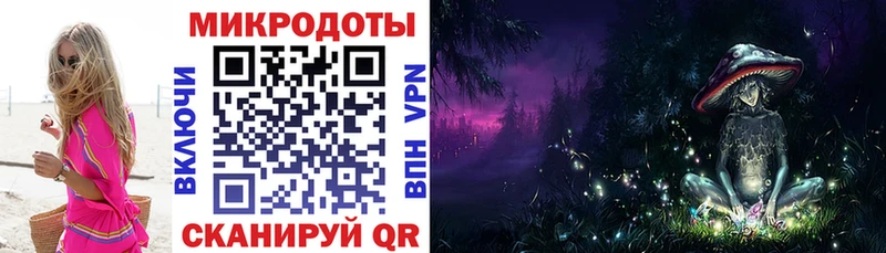 где купить наркотик  Туринск  Псилоцибиновые грибы Psilocybe 